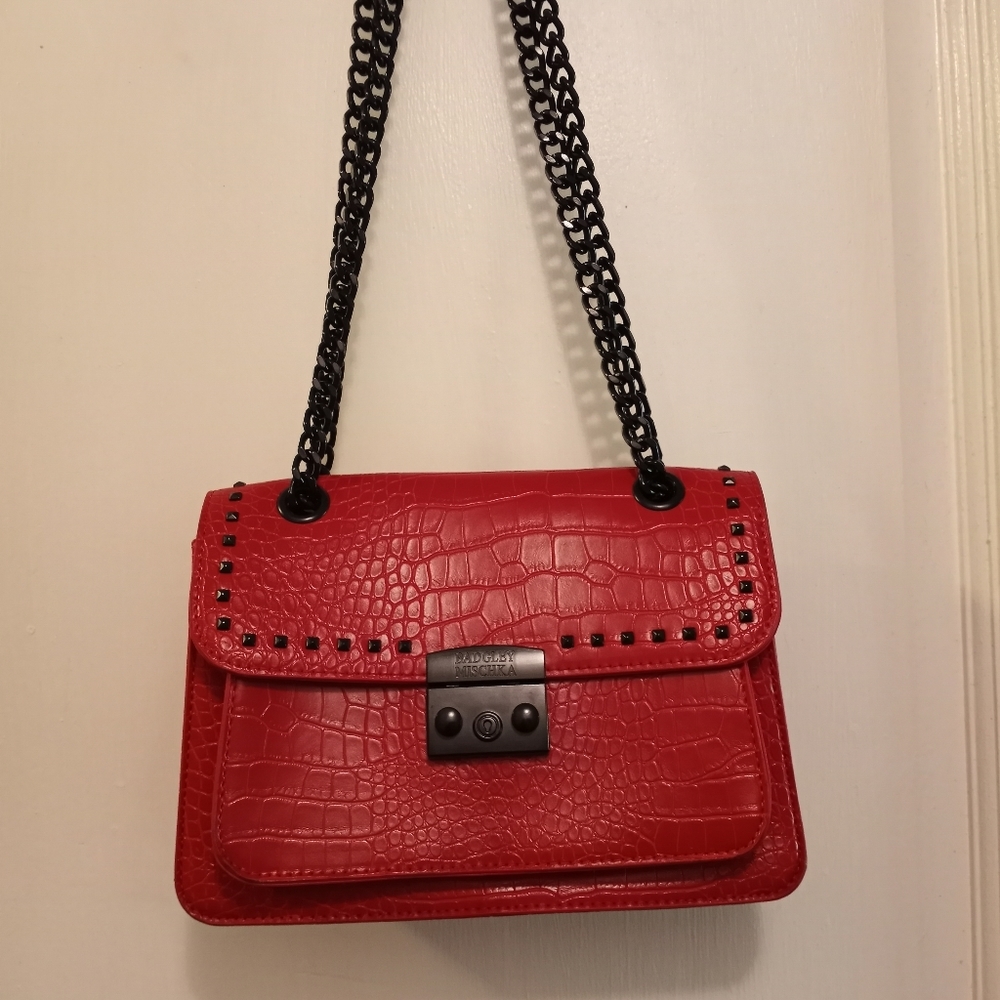 Badgley mischka crossbody
